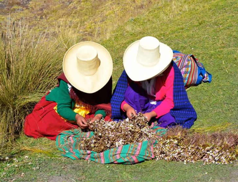 Cajamarca