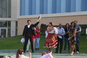 DDIP (3)